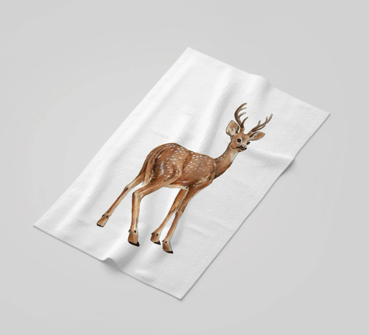 Cervo telo mare da Painted Nature