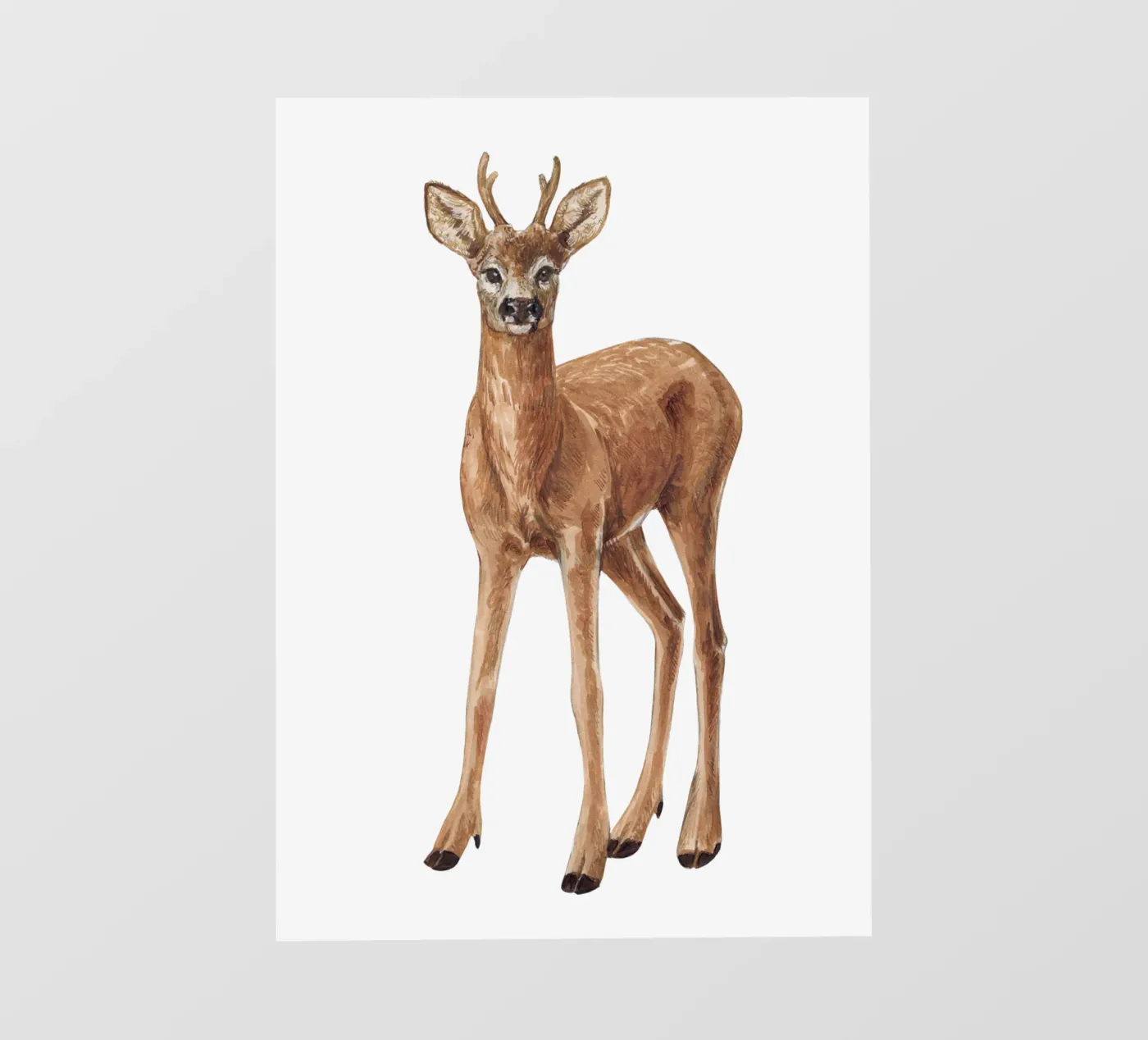 Hirsche Fototapete von Painted animals
