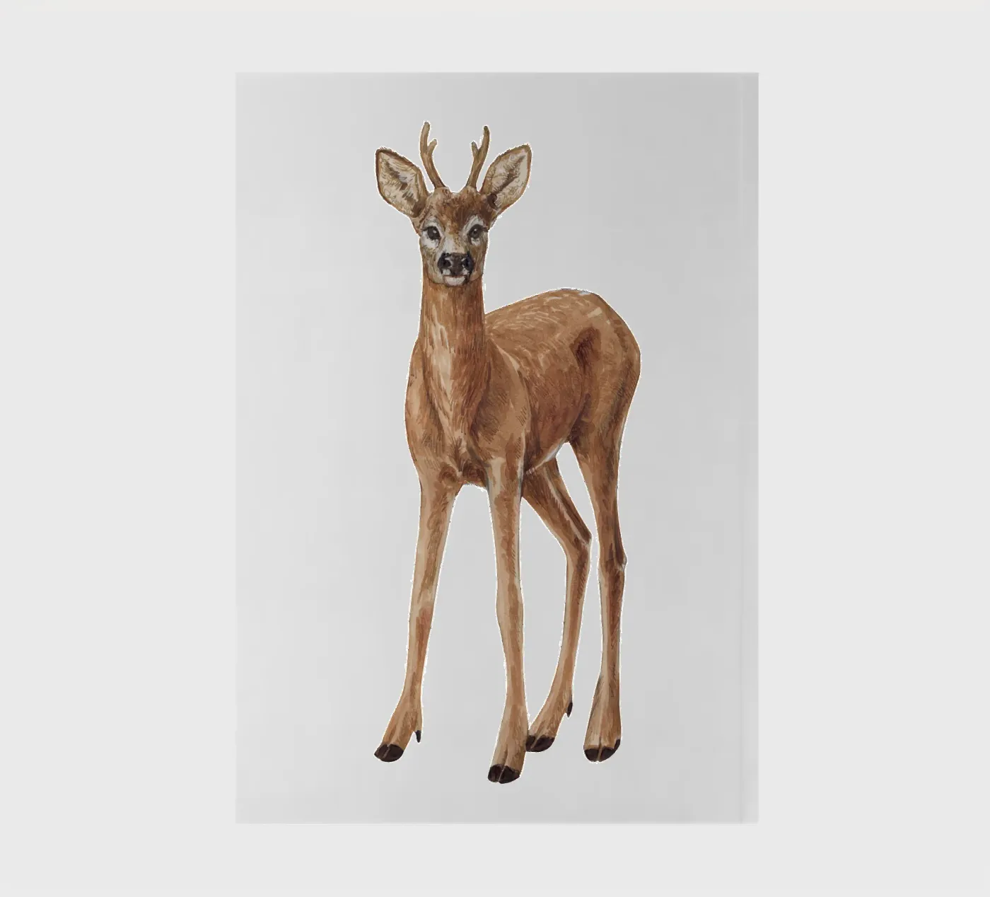 Deer notebook by Painted Nature