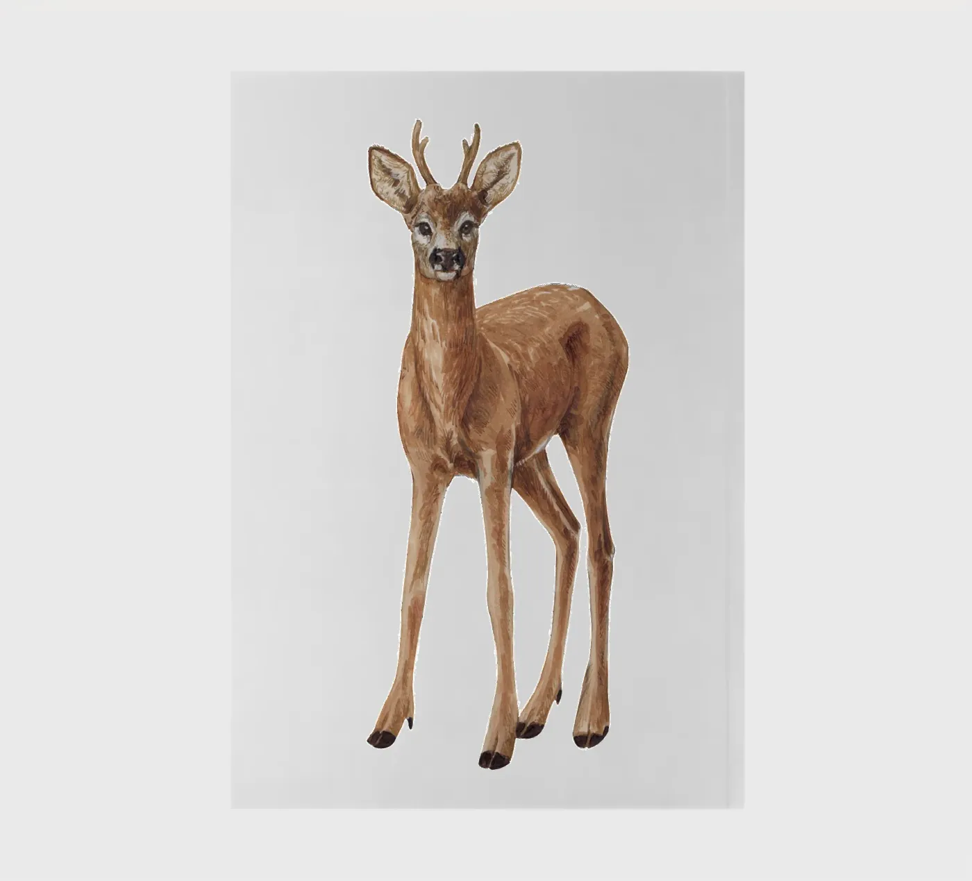 Deer notebook by Painted Nature