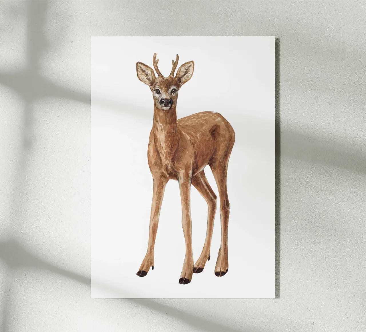 Cervo plexiglass da Painted Nature