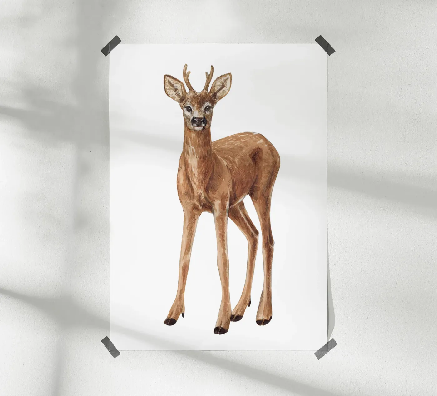 Deer Poster von Painted Nature