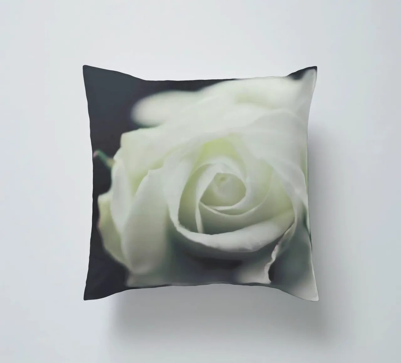 Ivory cuscino da Ingrid Beddoes