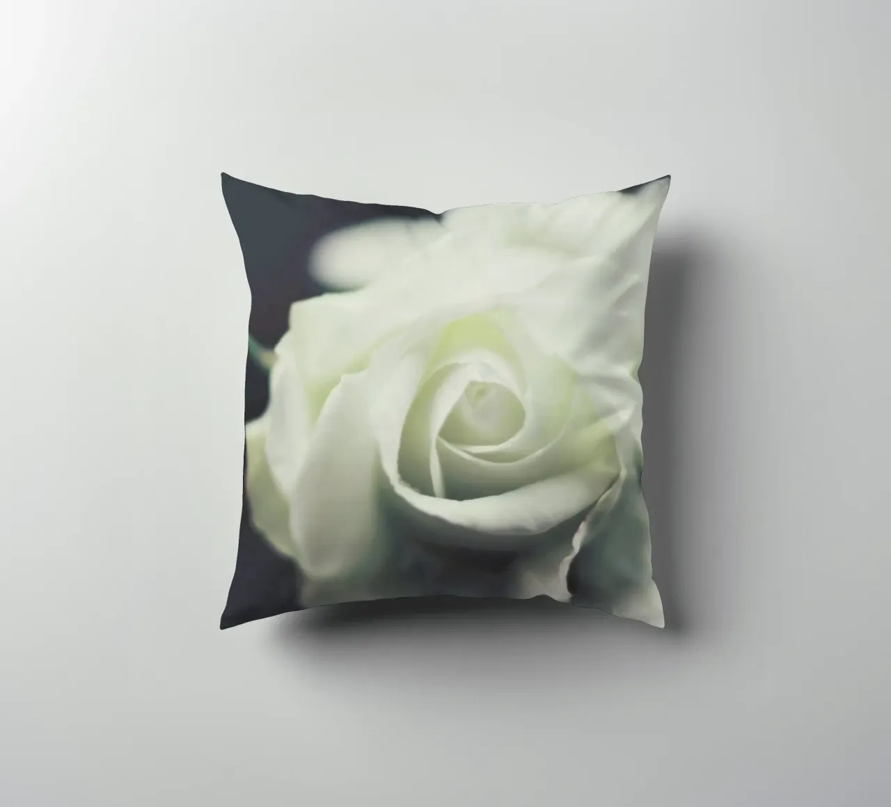 Ivory cuscino da Ingrid Beddoes