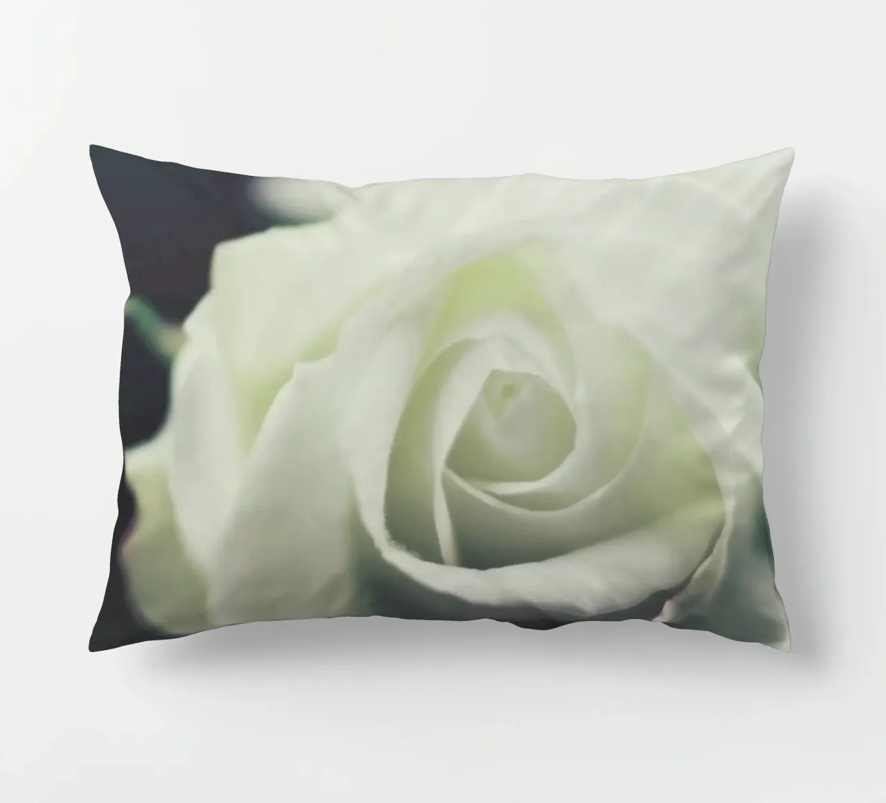 Ivory cuscino da Ingrid Beddoes