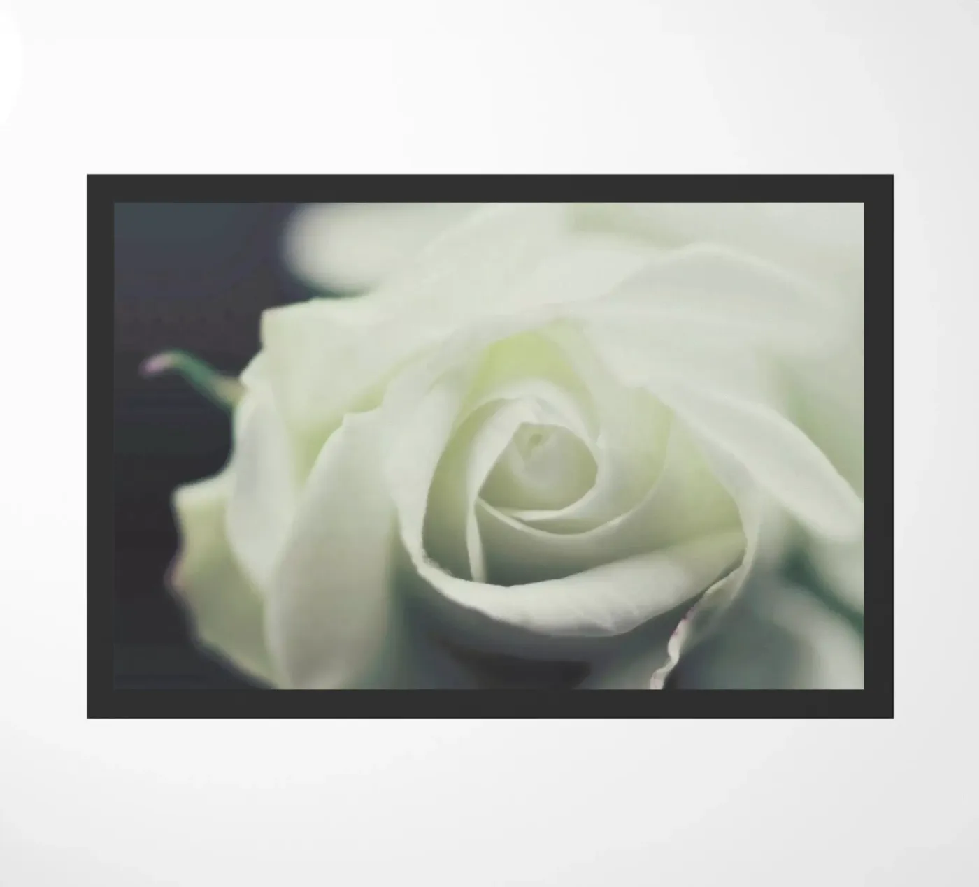 Ivory doormat by Ingrid Beddoes