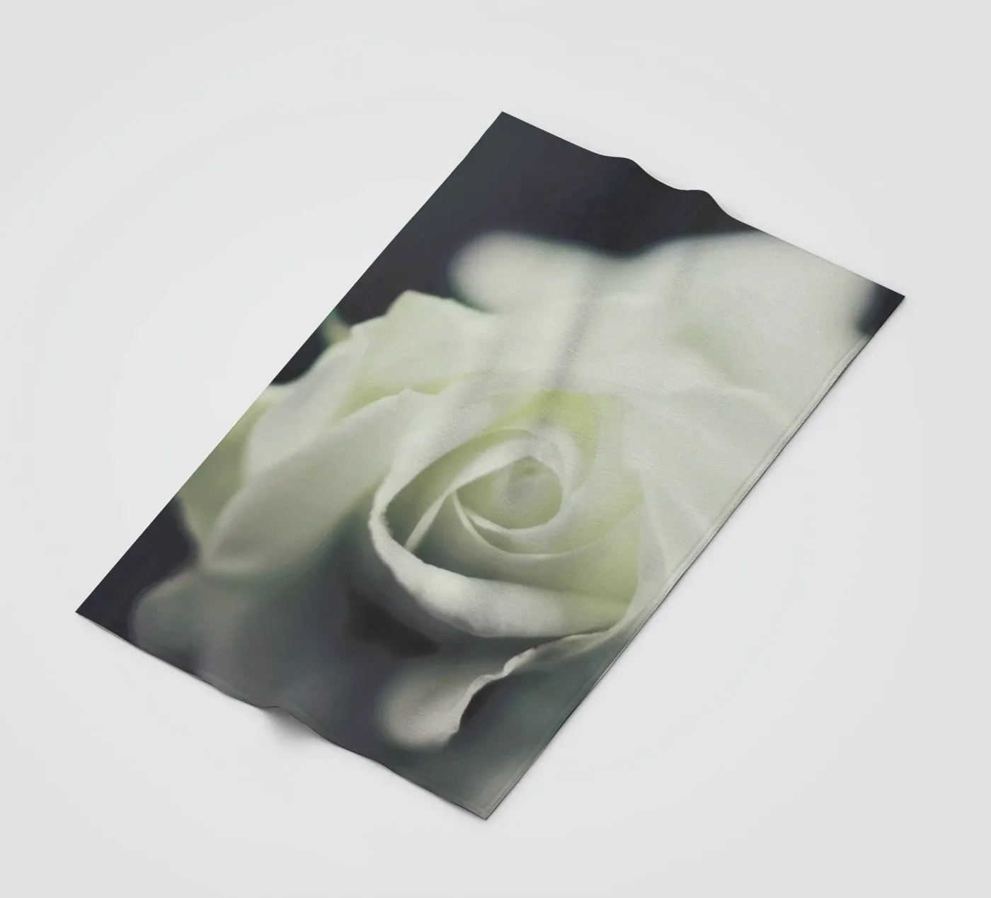 Ivory Fleecedecke von Ingrid Beddoes