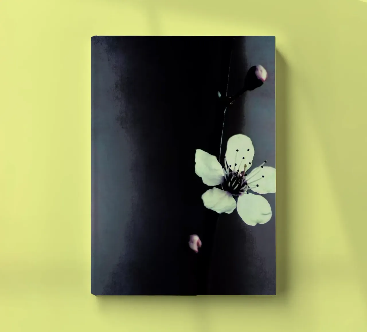 Solitaire notebook by Ingrid Beddoes