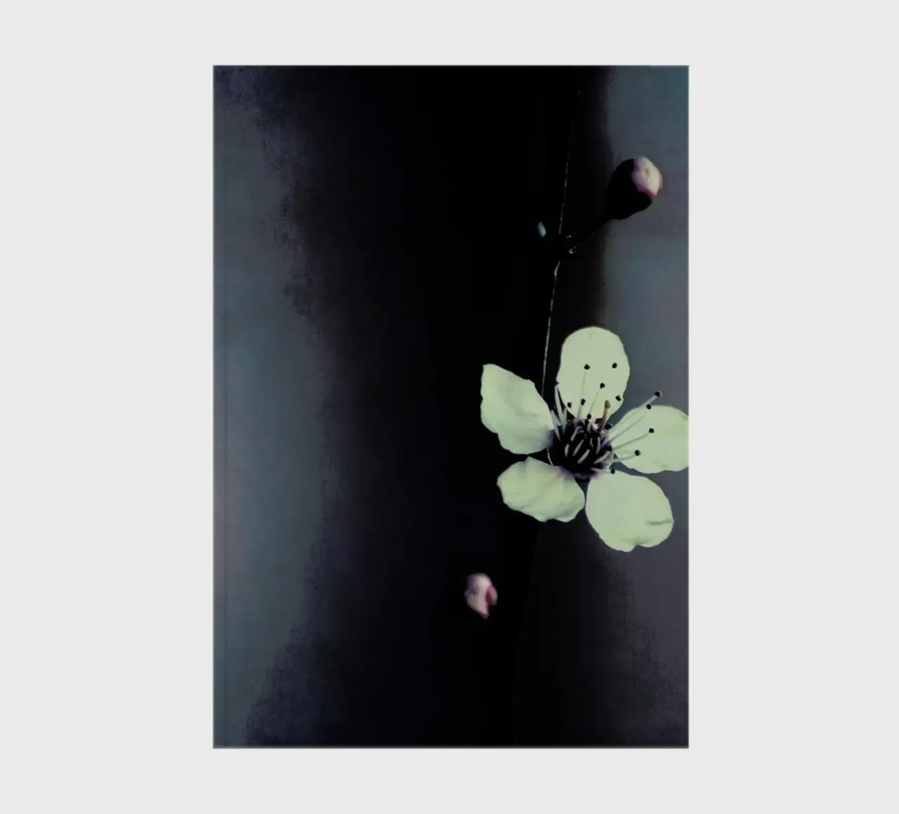 Solitaire notebook by Ingrid Beddoes