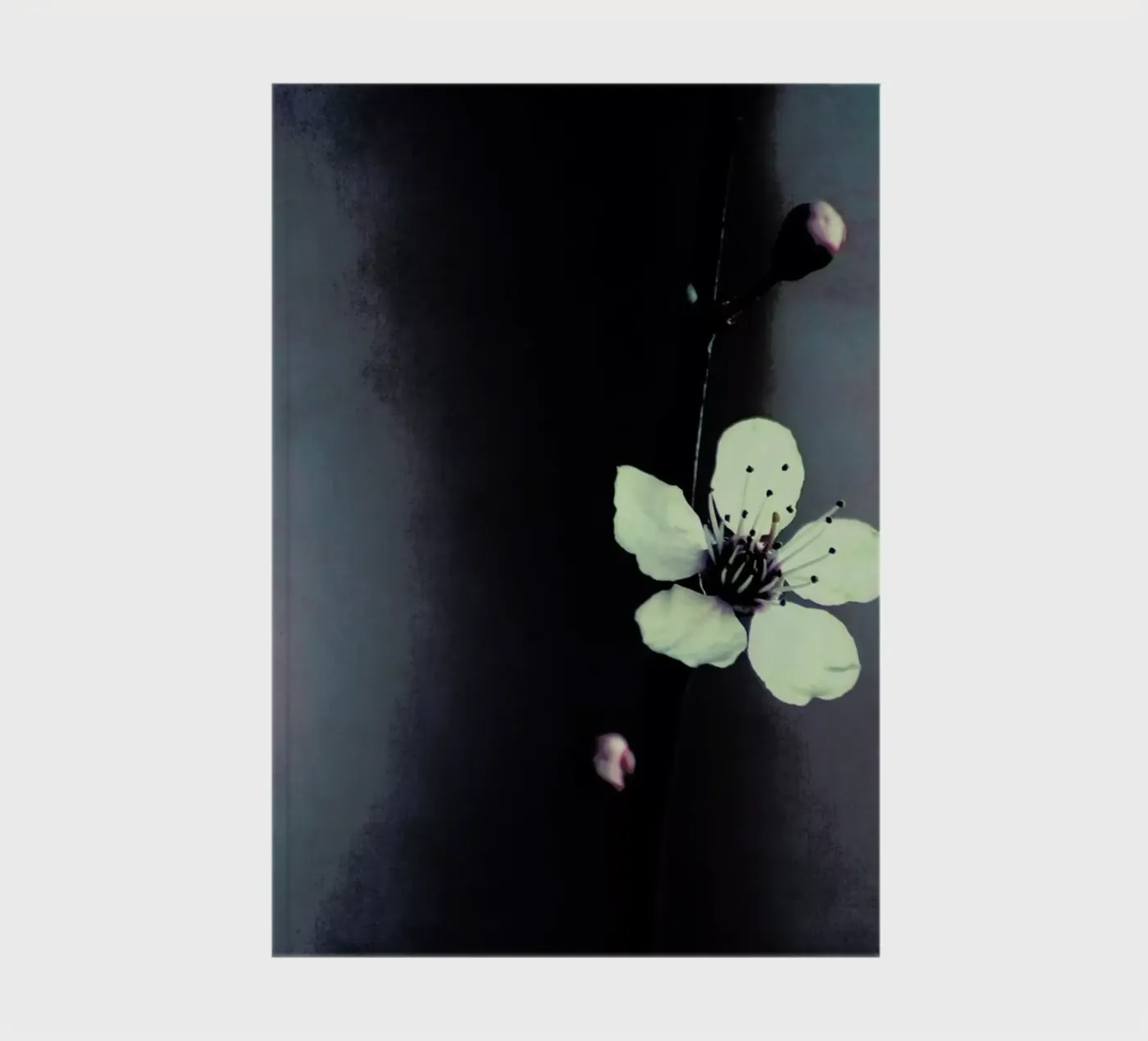 Solitaire notitieboek van Ingrid Beddoes