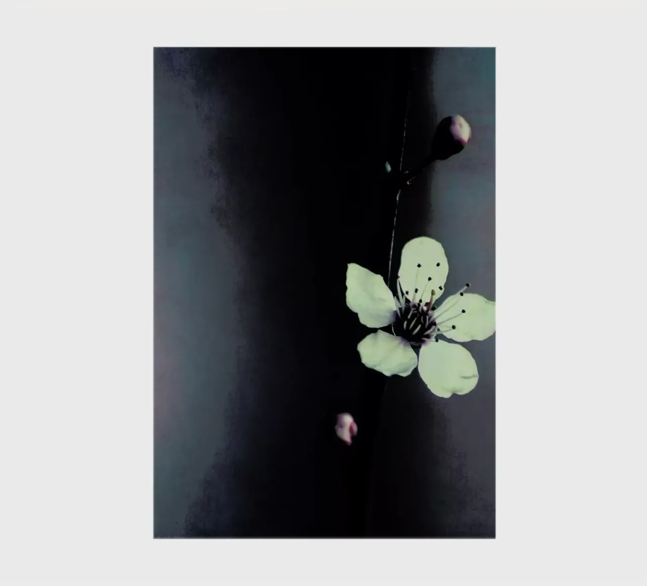 Solitaire notebook by Ingrid Beddoes