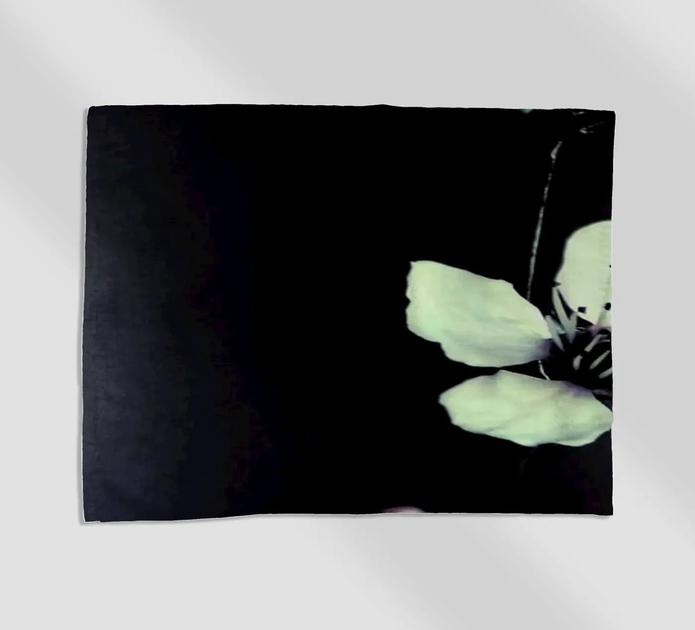 Solitaire telo mare da Ingrid Beddoes