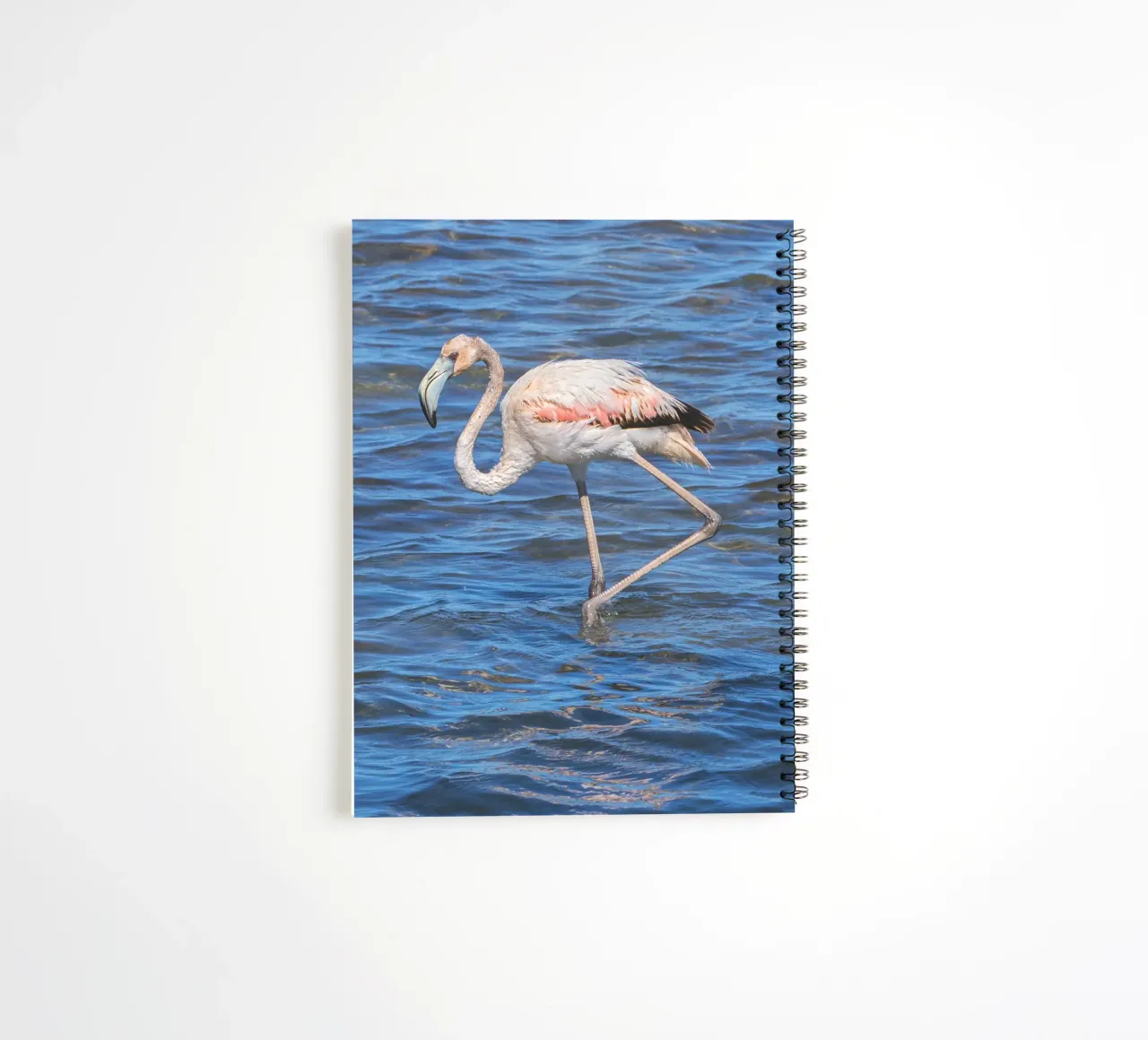 La Franqui Flamingo spiral notebook by Dave Hare Photography