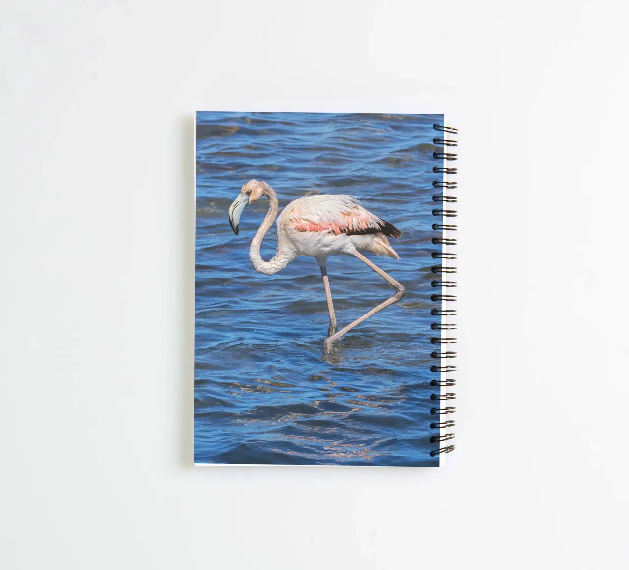 La Franqui Flamingo spiral notebook by Dave Hare Photography