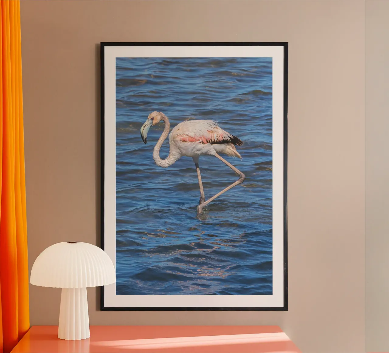 Fenicottero La Franqui poster con telaio in plastica da Dave Hare Photography
