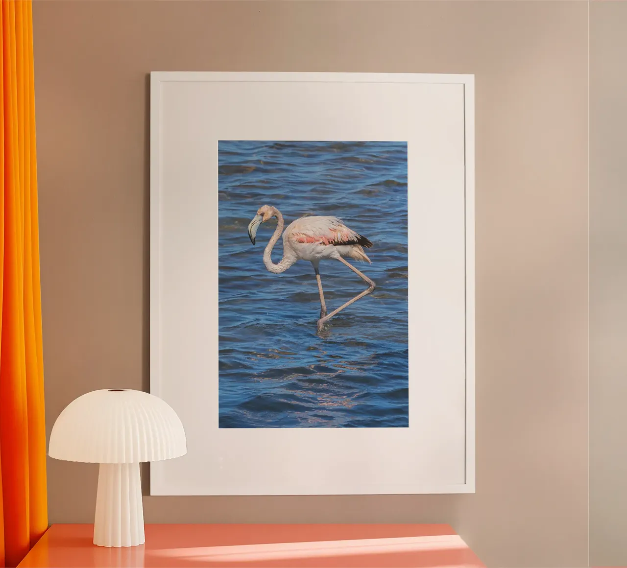 Fenicottero La Franqui poster con telaio in plastica da Dave Hare Photography