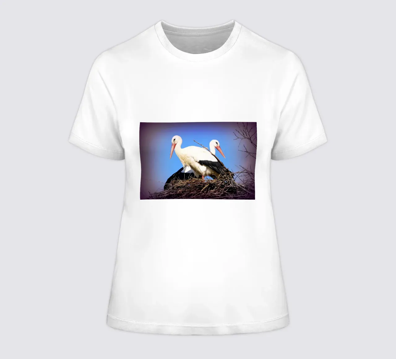 FAA141 women's fitted t-shirt by Thierry vobmann photography