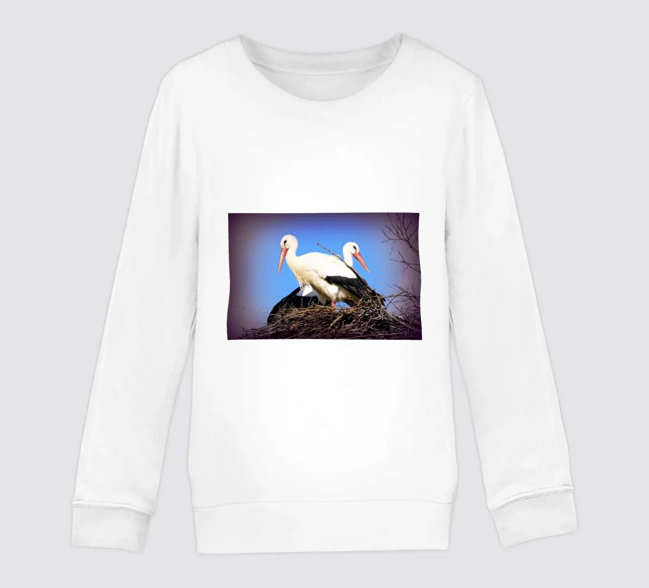FAA141 kids sweatshirt by Thierry vobmann photography