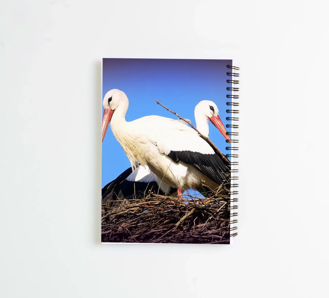 FAA141 spiral notebook by Thierry vobmann photography