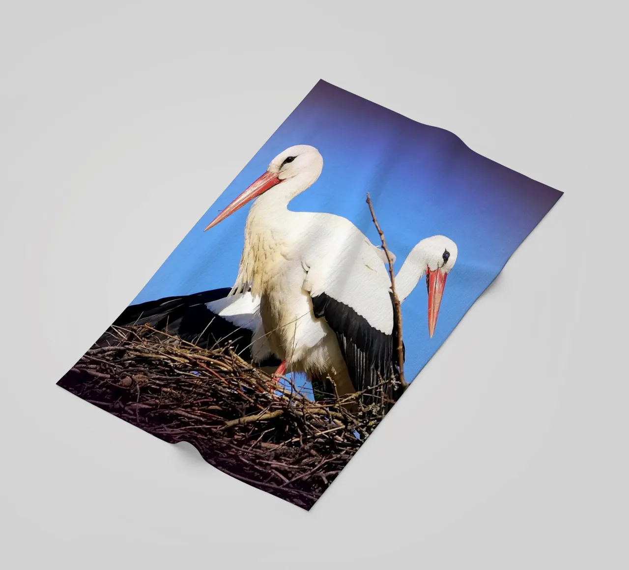 FAA141 telo mare da Thierry vobmann photography