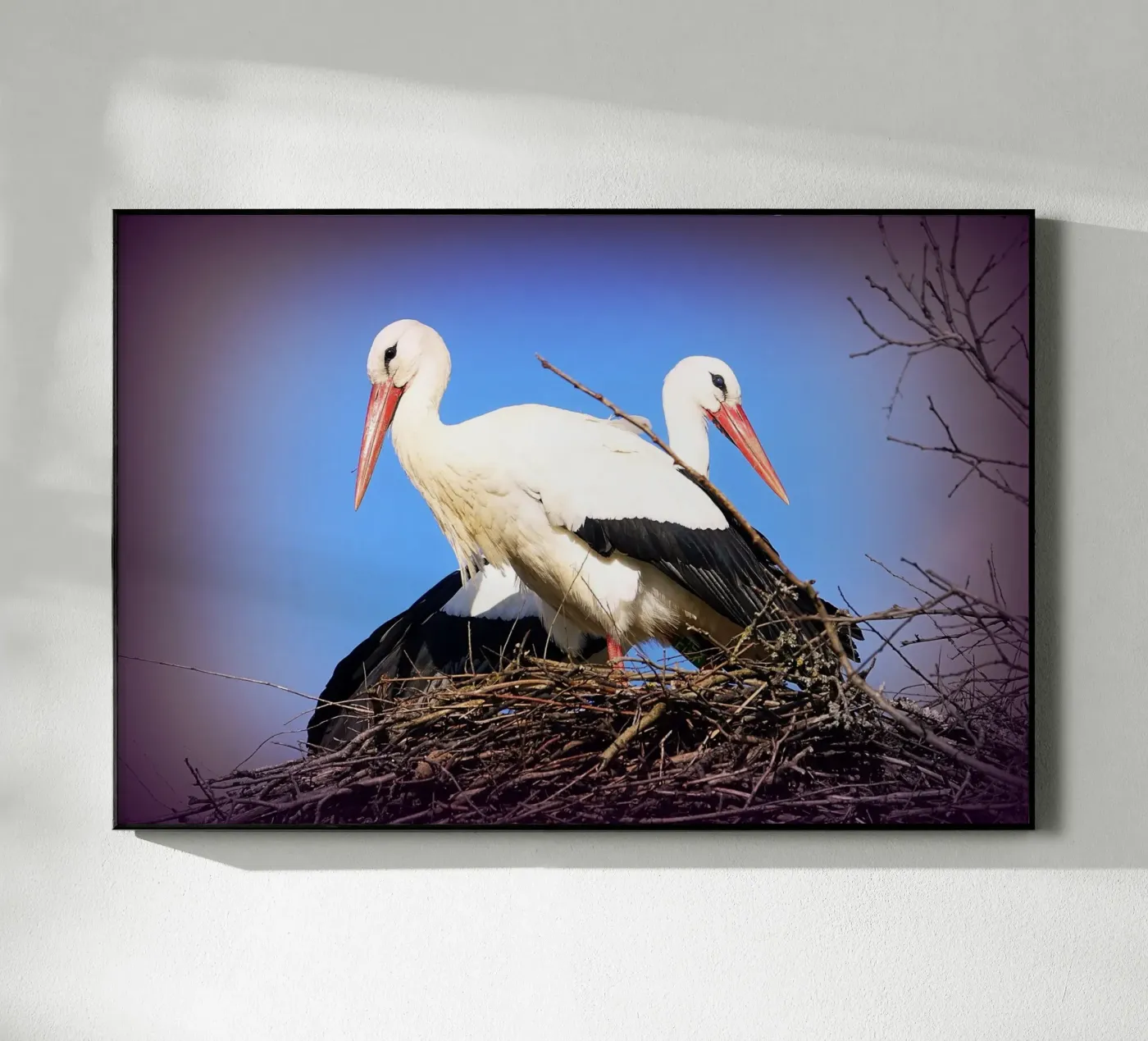 FAA141 plexiglas de Thierry vobmann photography