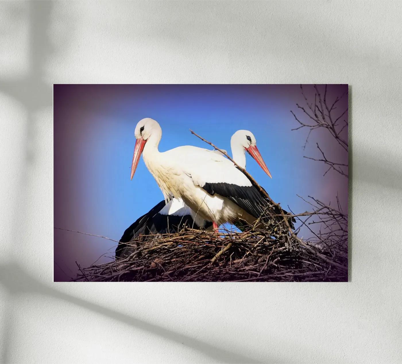 FAA141 plexiglas de Thierry vobmann photography