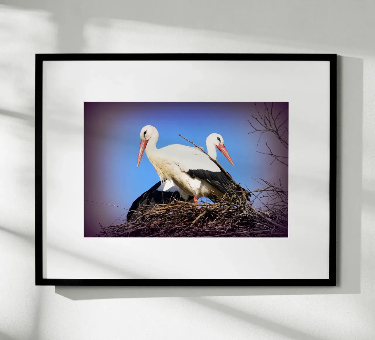 FAA141 poster con telaio in plastica da Thierry vobmann photography