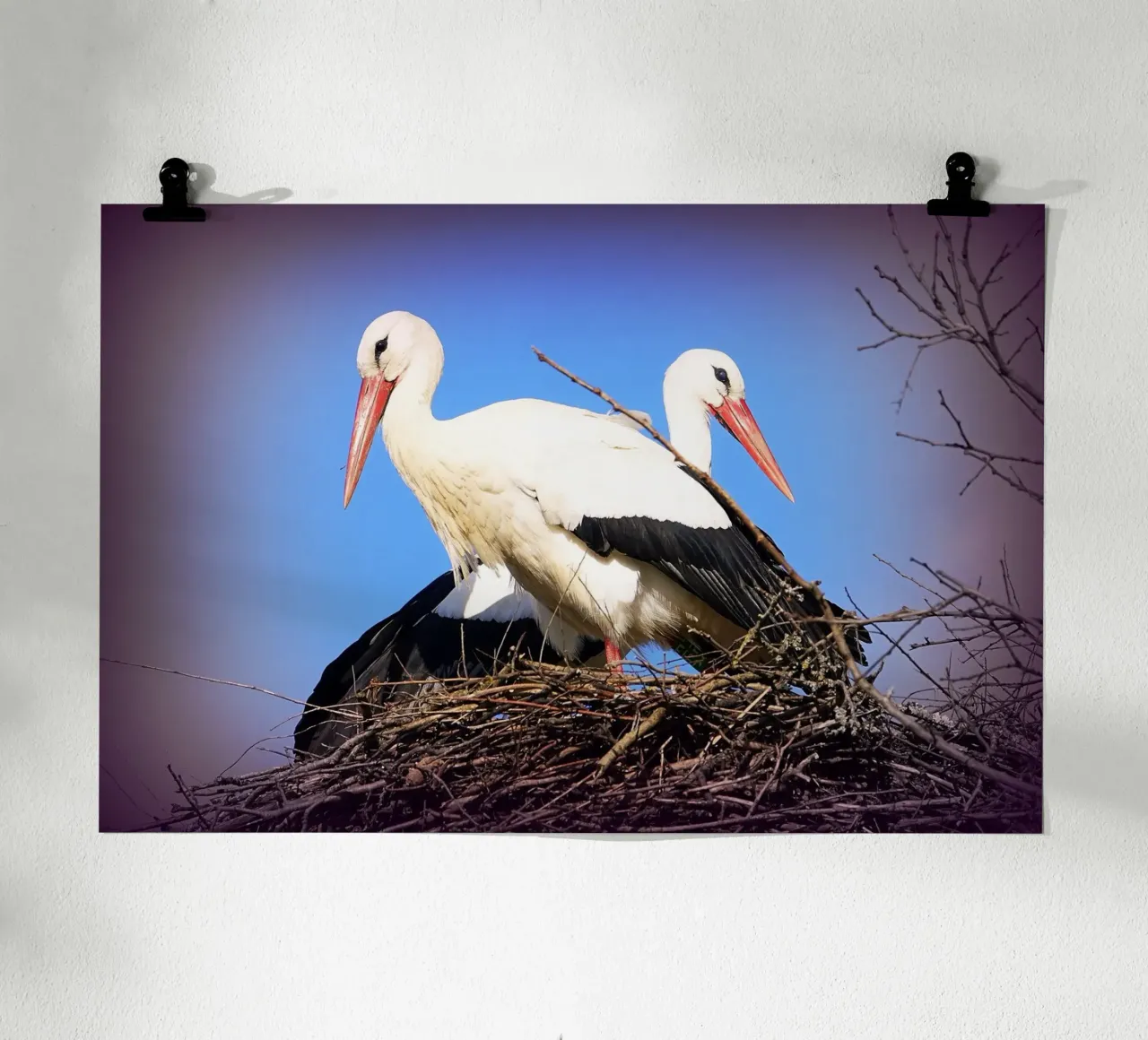 FAA141 poster con telaio in plastica da Thierry vobmann photography