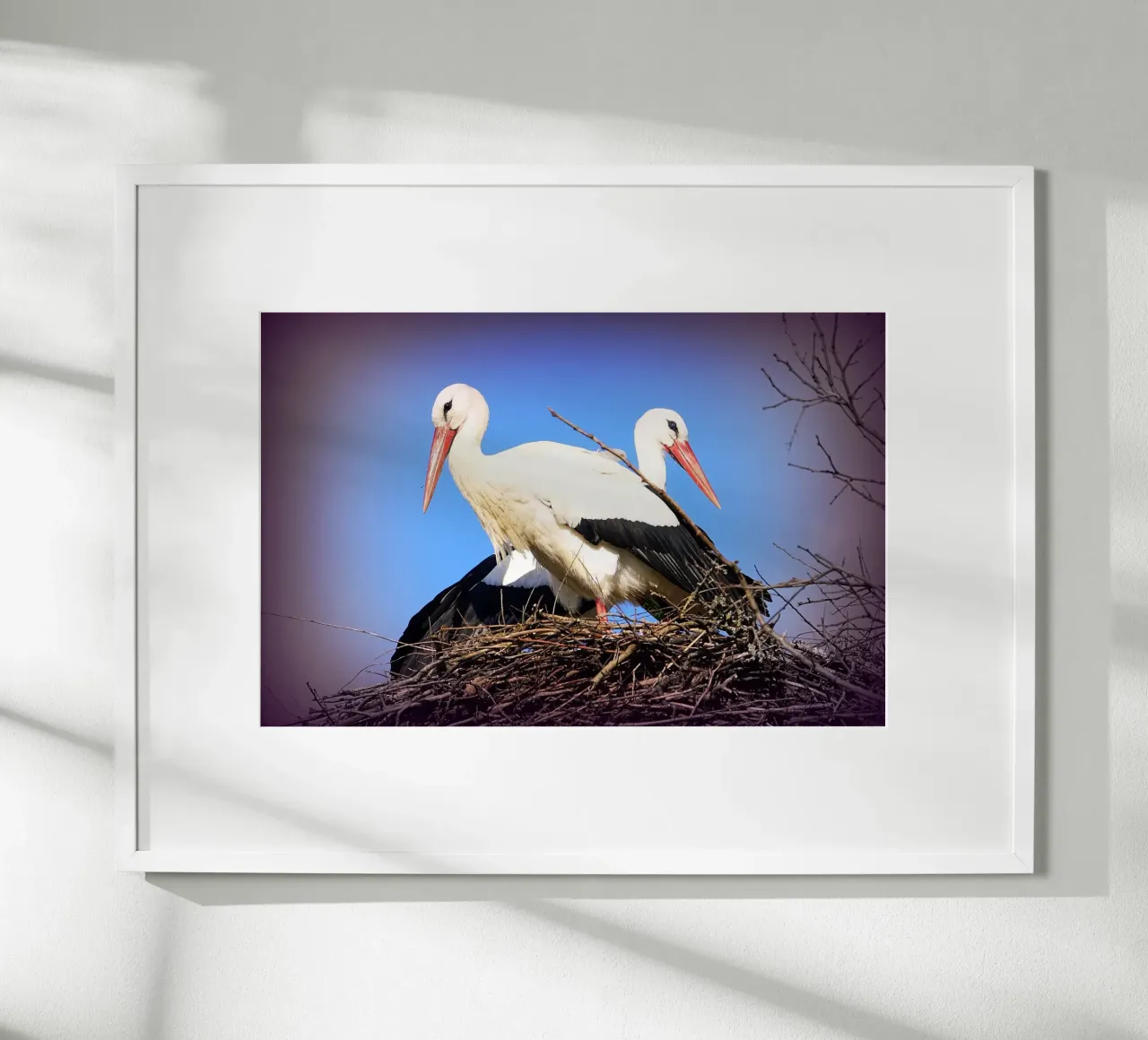 FAA141 poster con telaio in plastica da Thierry vobmann photography