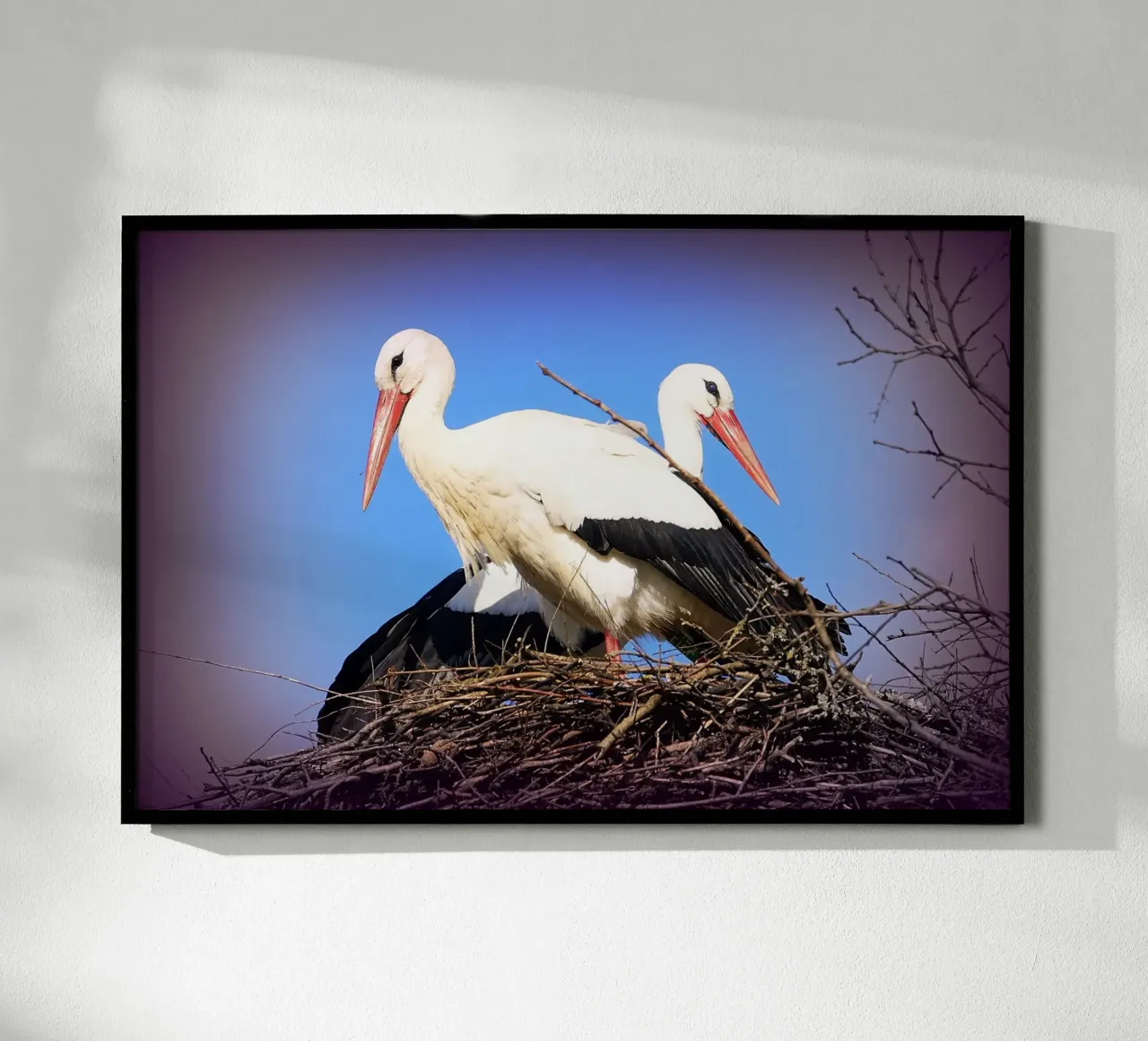 FAA141 poster con telaio in plastica da Thierry vobmann photography