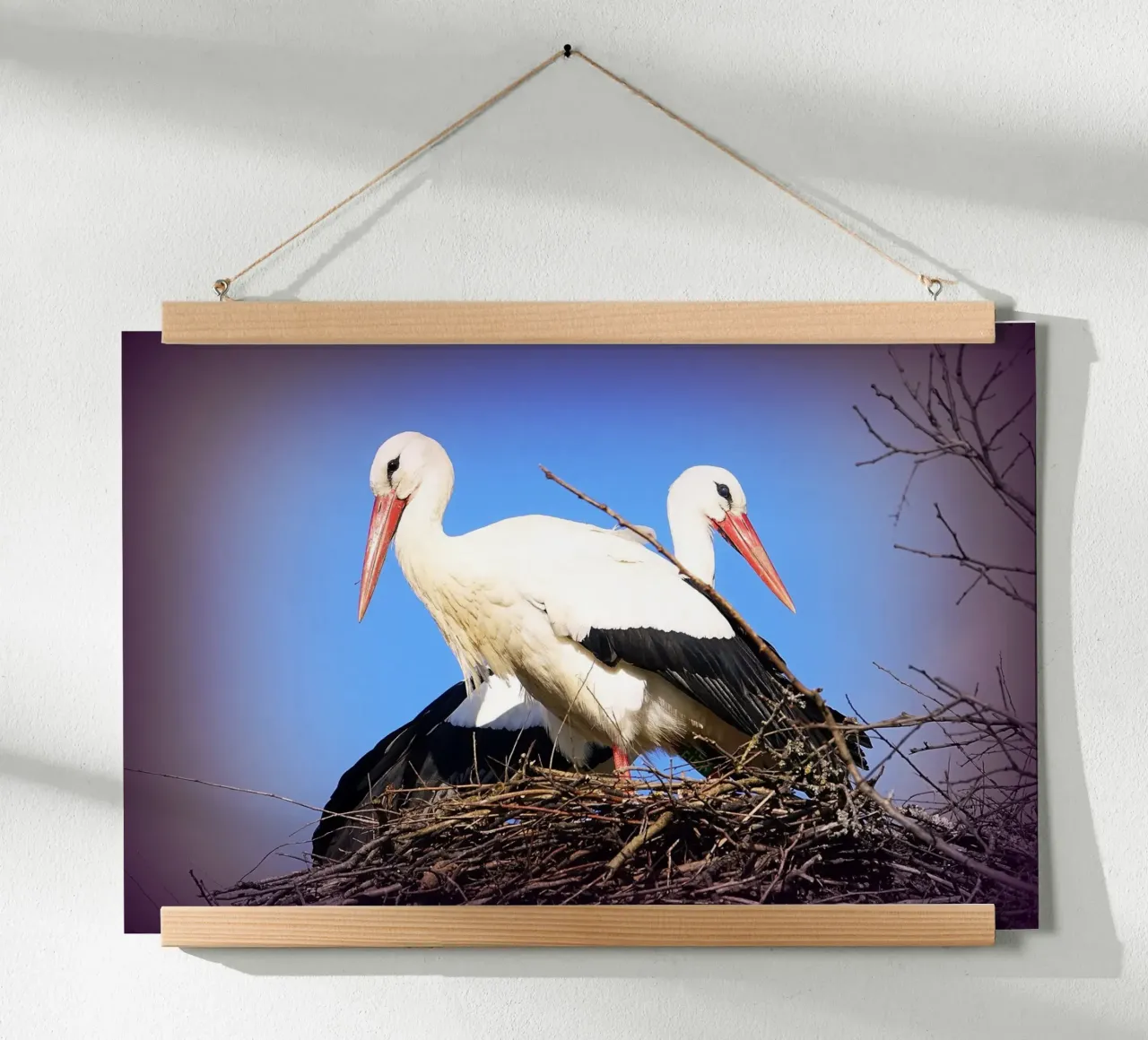 FAA141 poster con telaio in plastica da Thierry vobmann photography