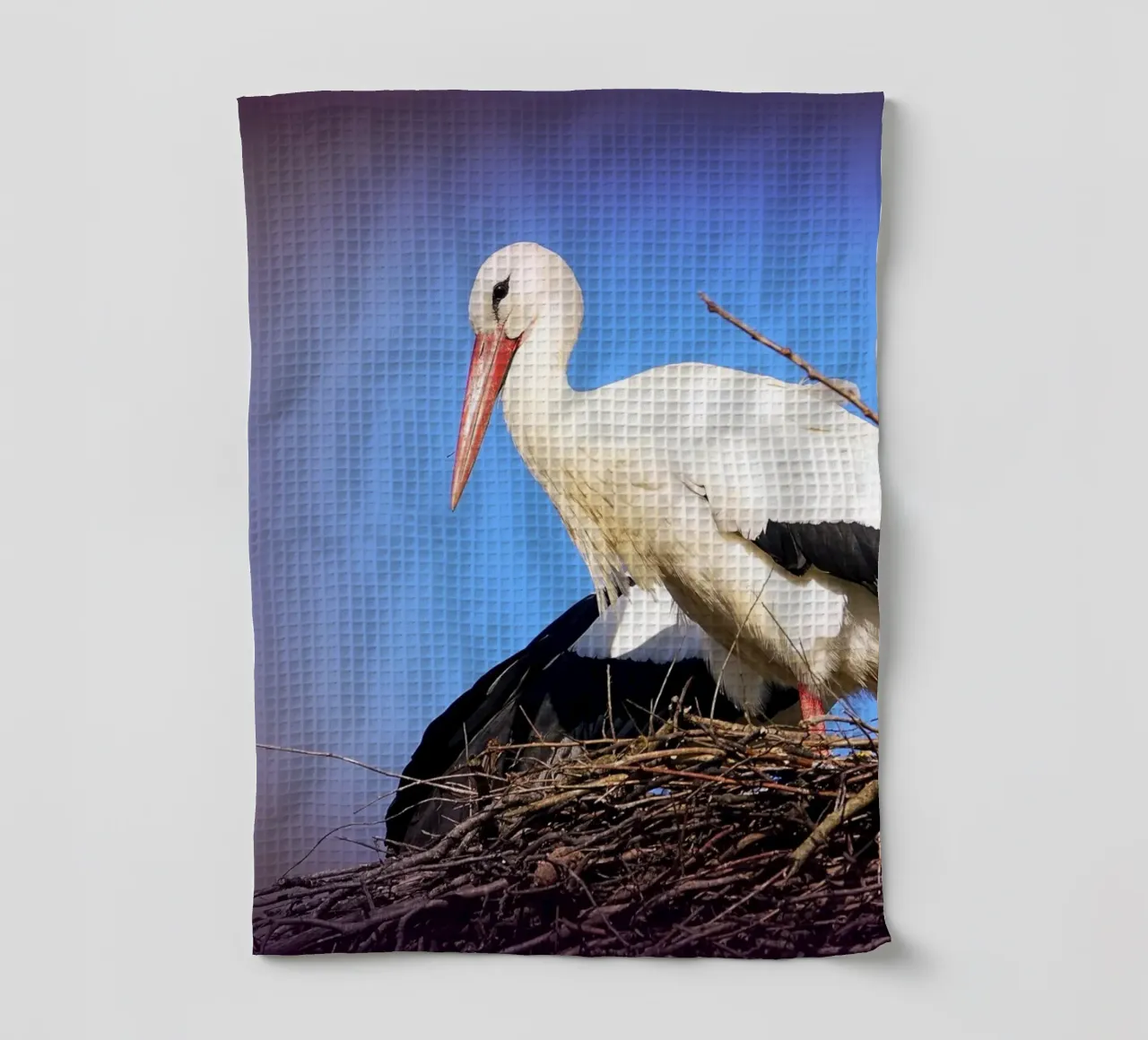 FAA141 tea towel by Thierry vobmann photography