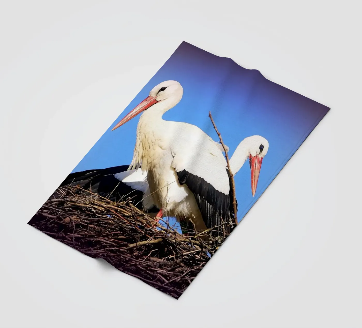 FAA141 Fleecedecke von Thierry vobmann photography