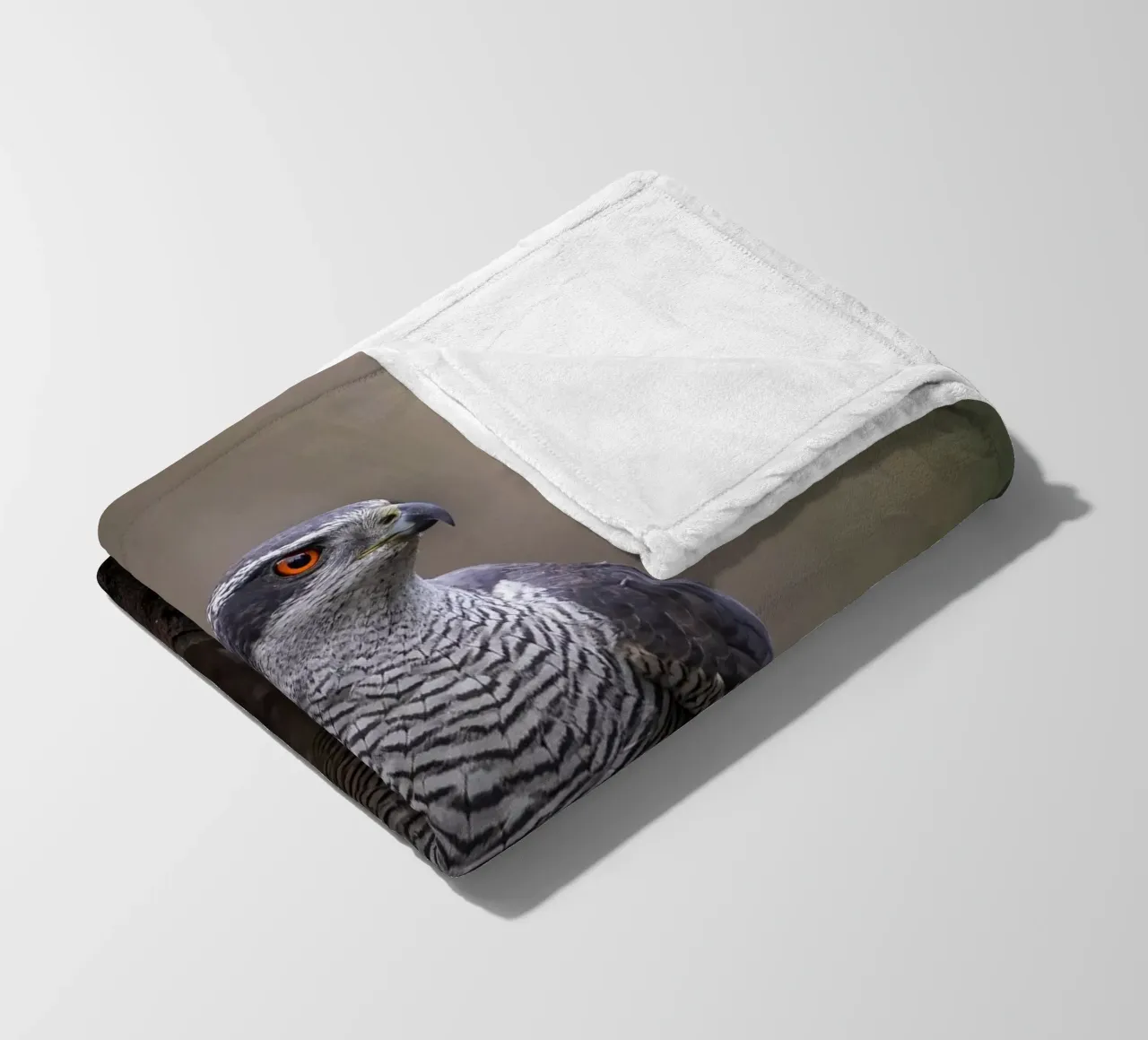 Astore nella foresta coperta in pile da Tom's Wildlife