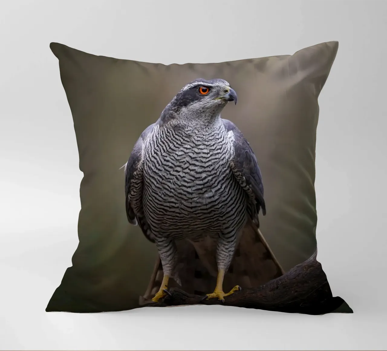 Astore nella foresta cuscino da Tom's Wildlife
