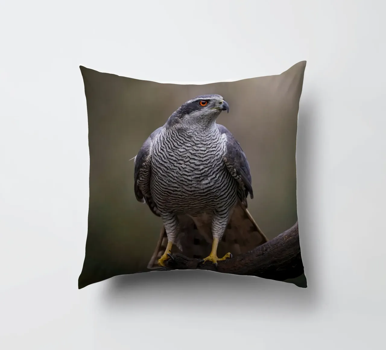 Astore nella foresta cuscino da Tom's Wildlife