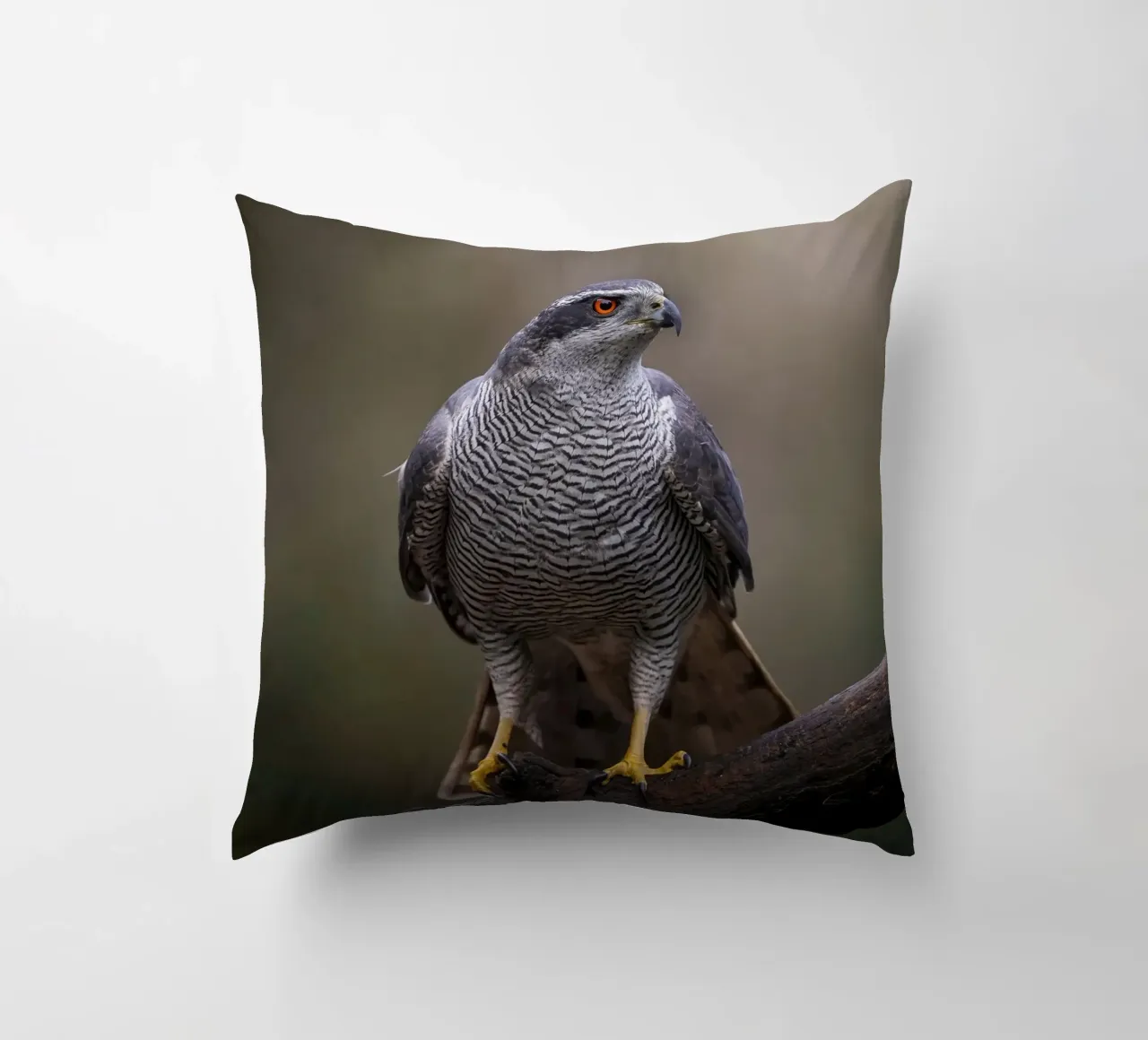 Astore nella foresta cuscino da Tom's Wildlife