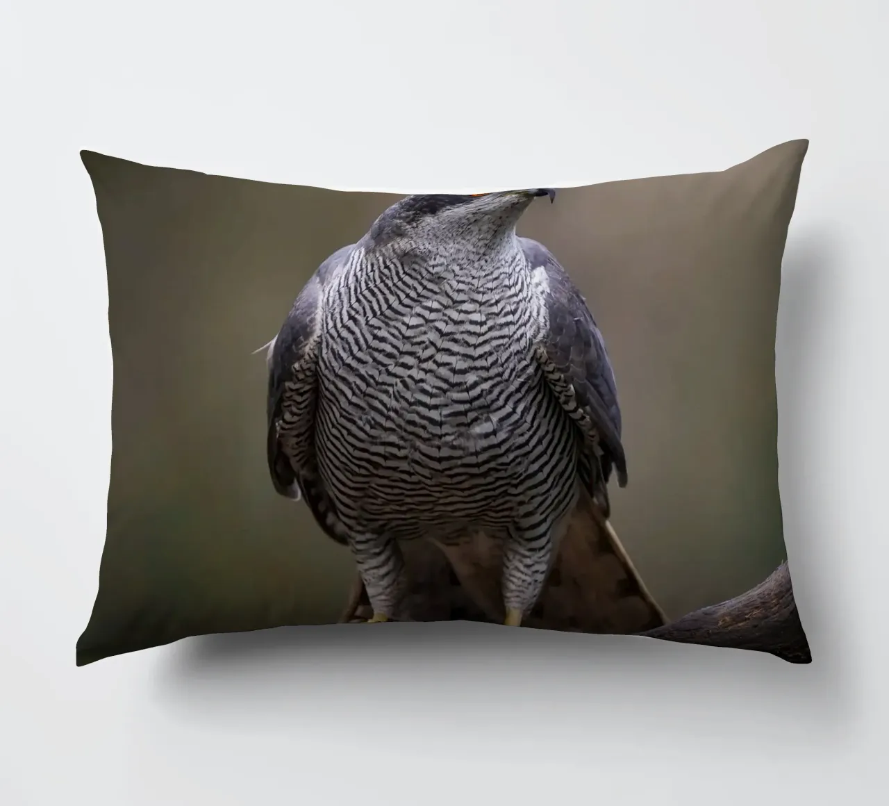 Astore nella foresta cuscino da Tom's Wildlife