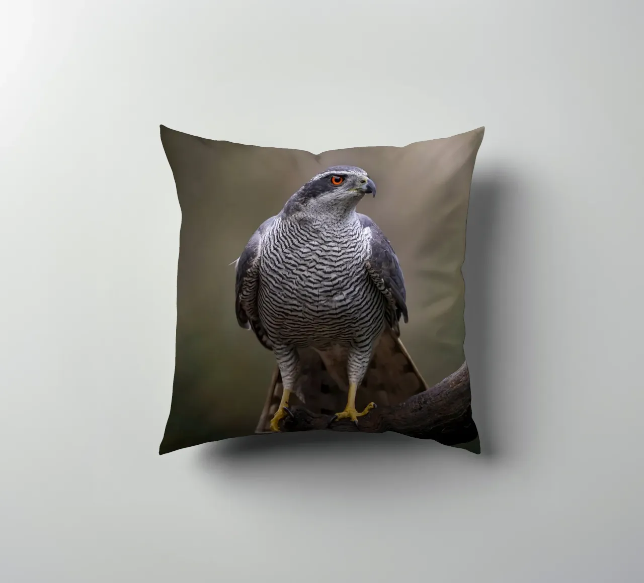 Astore nella foresta cuscino da Tom's Wildlife