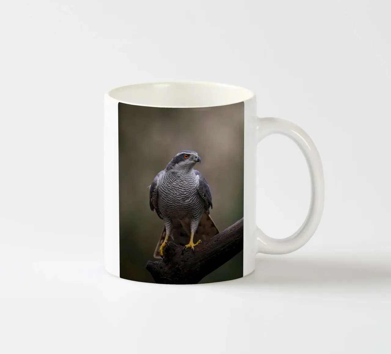 Astore nella foresta tazza in ceramica da Tom's Wildlife