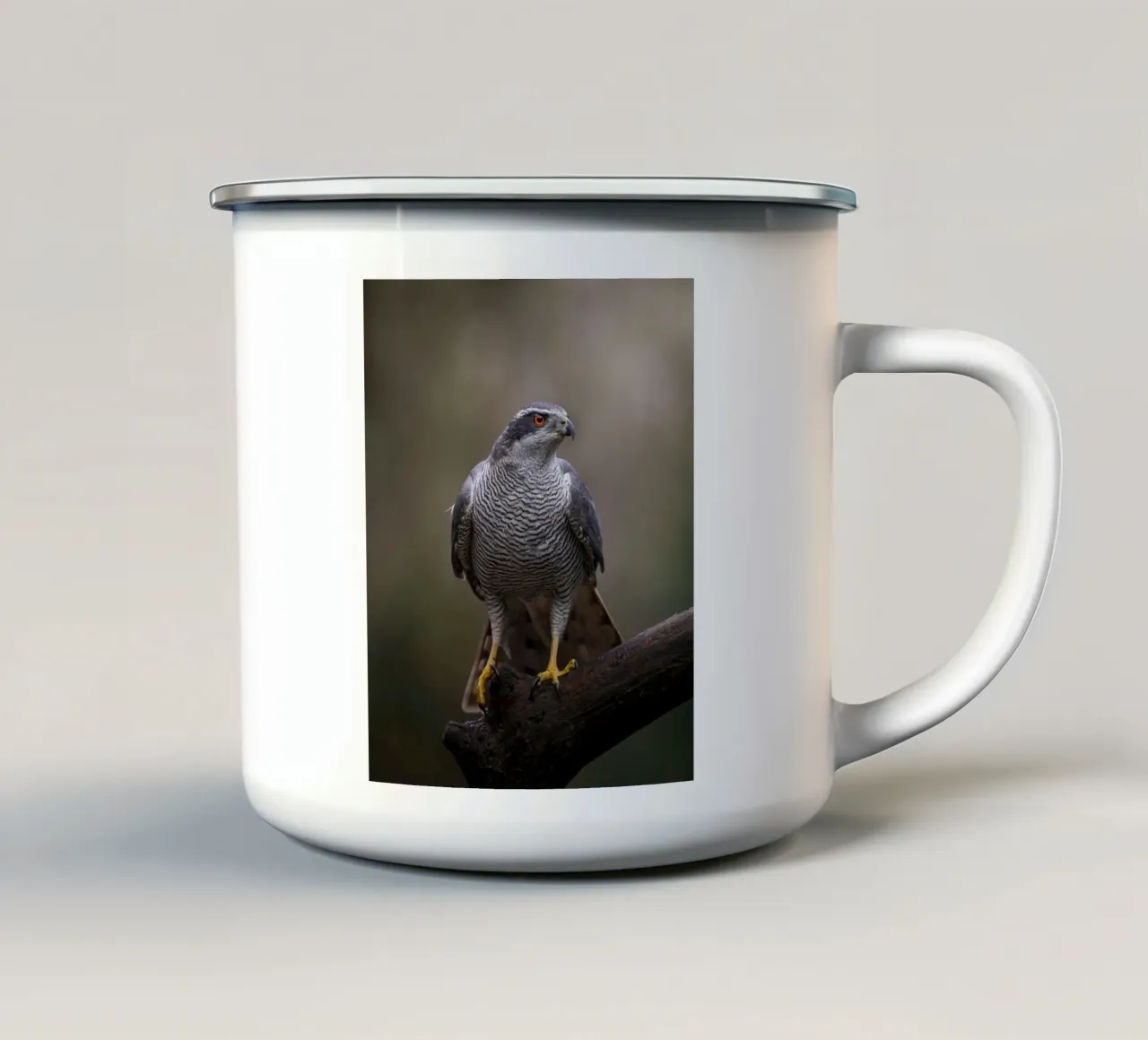 Astore nella foresta tazza in smalto da Tom's Wildlife