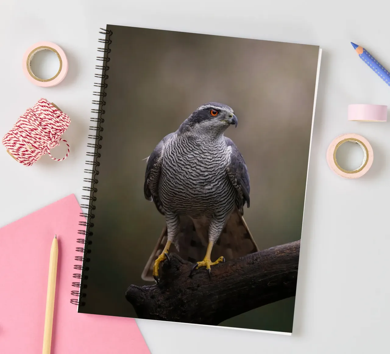 Goshawk in the forest spiral notebook by Tom's Wildlife