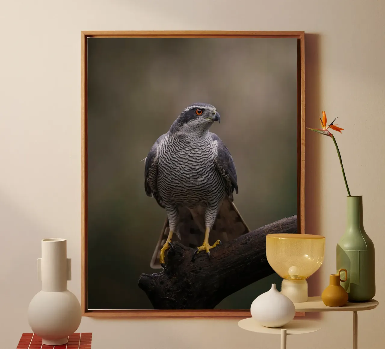 Goshawk in the forest canvas by Tom's Wildlife
