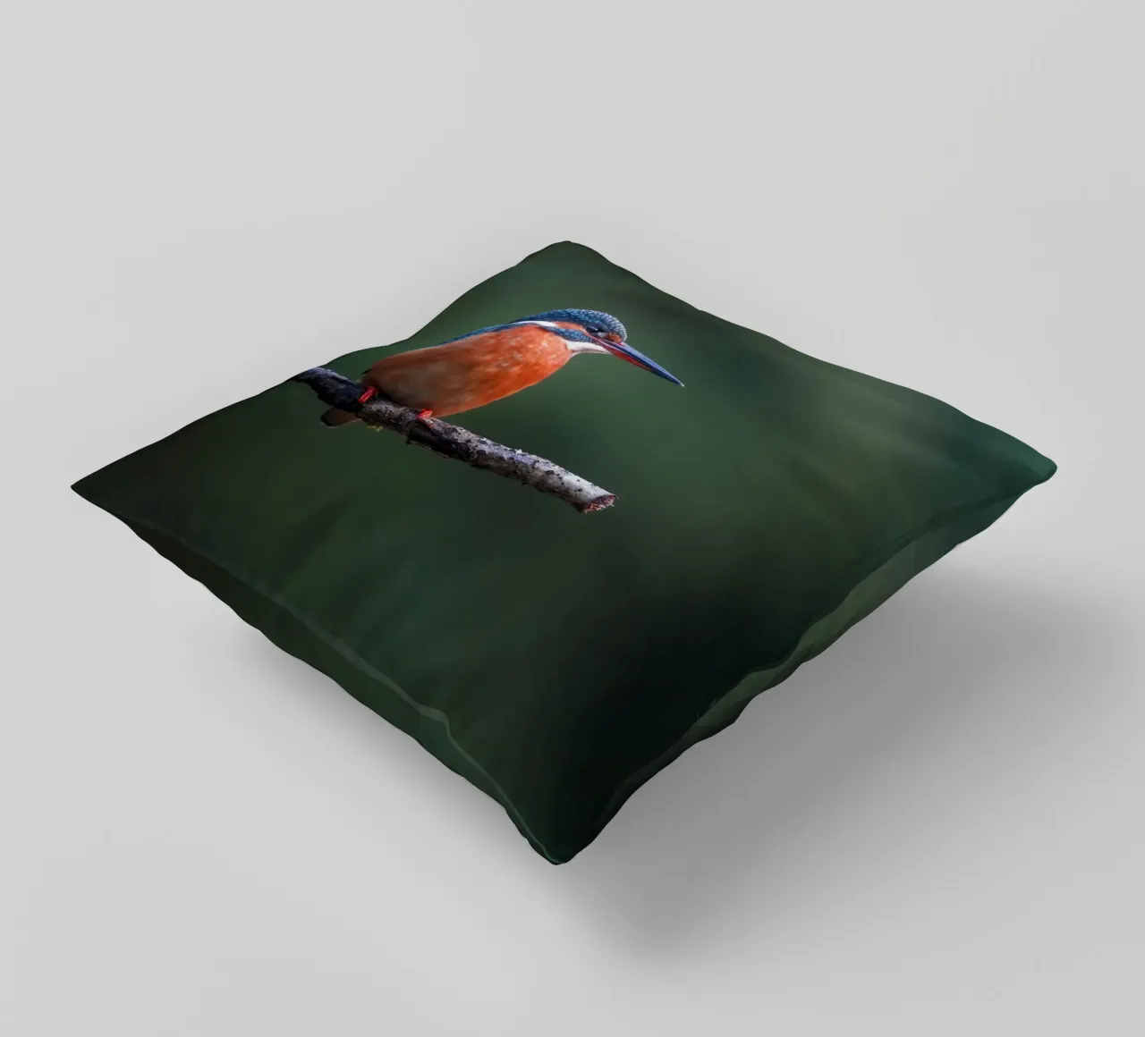 Martin pescatore femmina cuscino da Tom's Wildlife