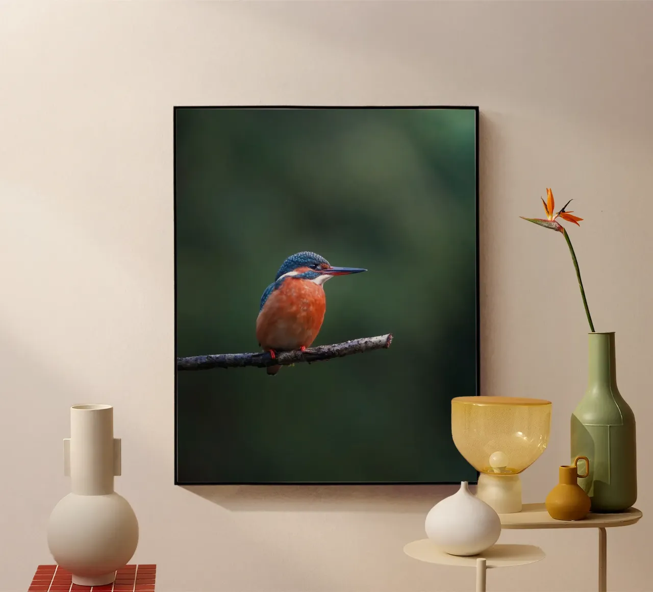 Martin pescatore femmina plexiglass da Tom's Wildlife