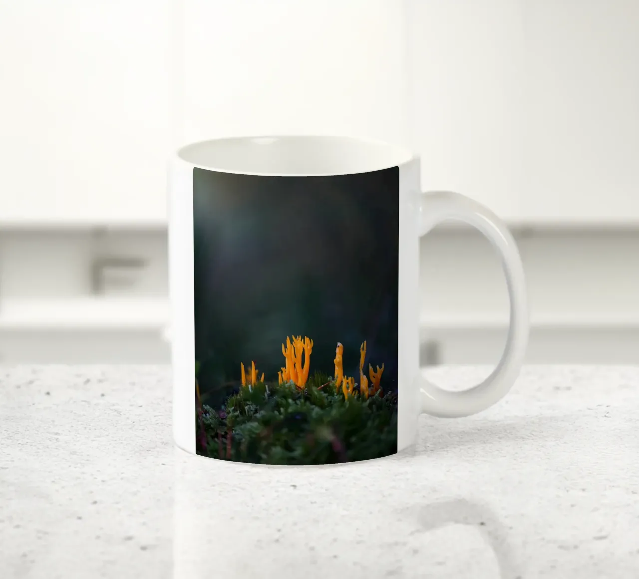 Funghi details tazza in ceramica da Tom's Wildlife