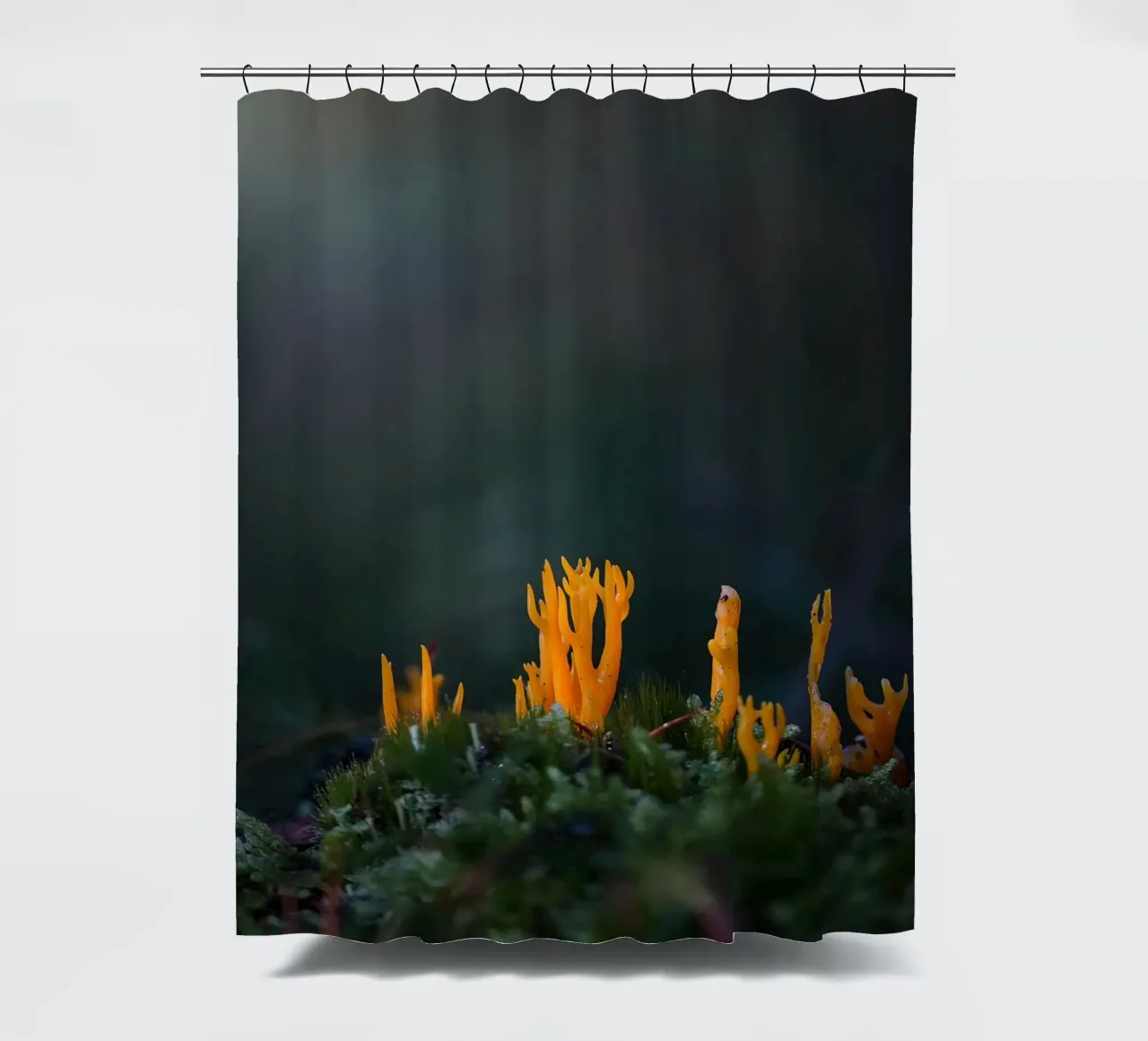 Mushroom details shower curtain by Tom's Wildlife
