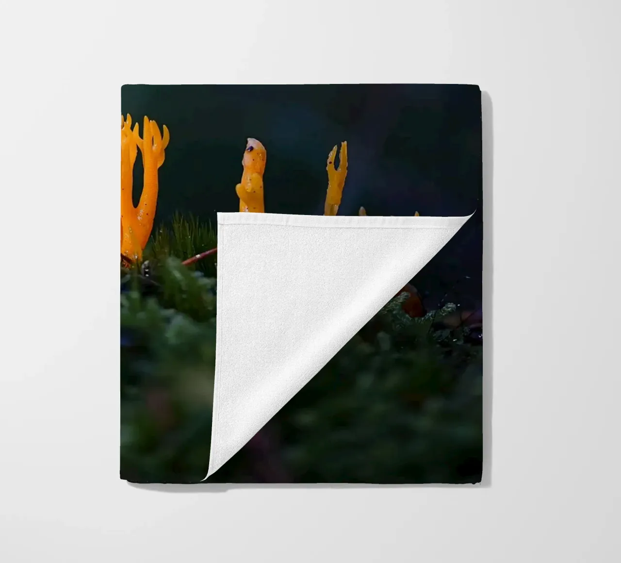 Mushroom details beach towel by Tom's Wildlife