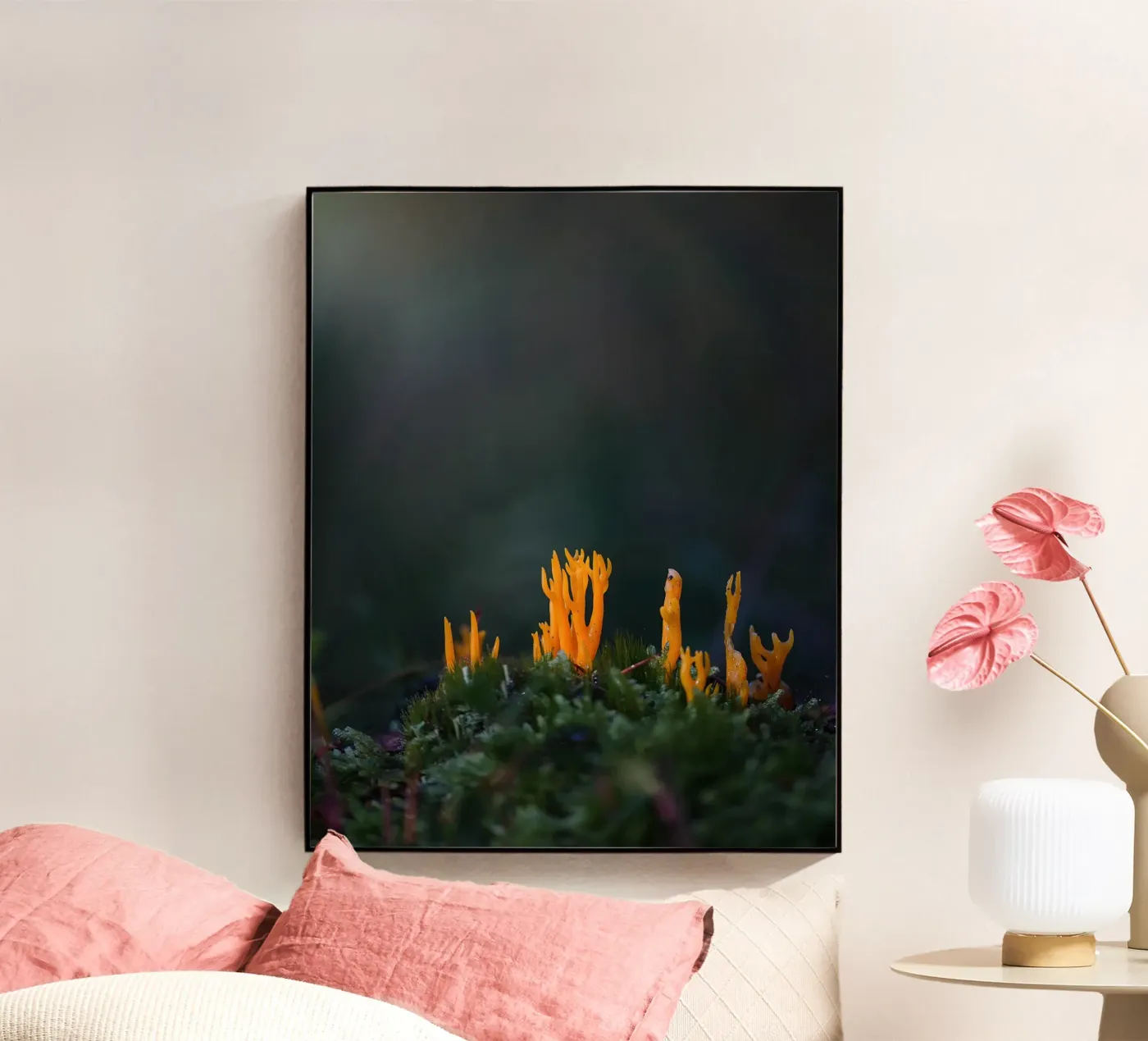 Mushroom details plexiglass da Tom's Wildlife