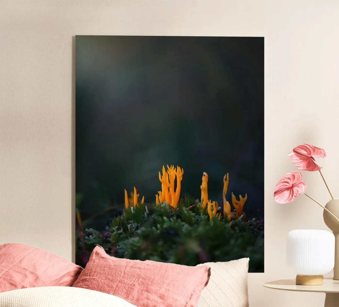 Mushroom details plexiglass da Tom's Wildlife